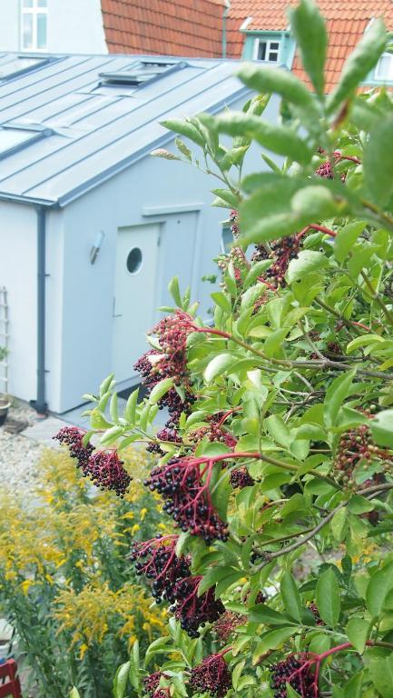The Garden House Apartment Lund Luaran gambar